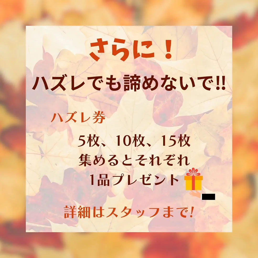 【秋の風物詩🍂】